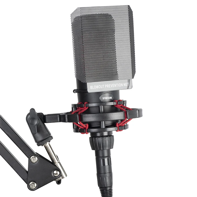 AT2020 48V XLR Mic - Professional Recording Studio Equipment