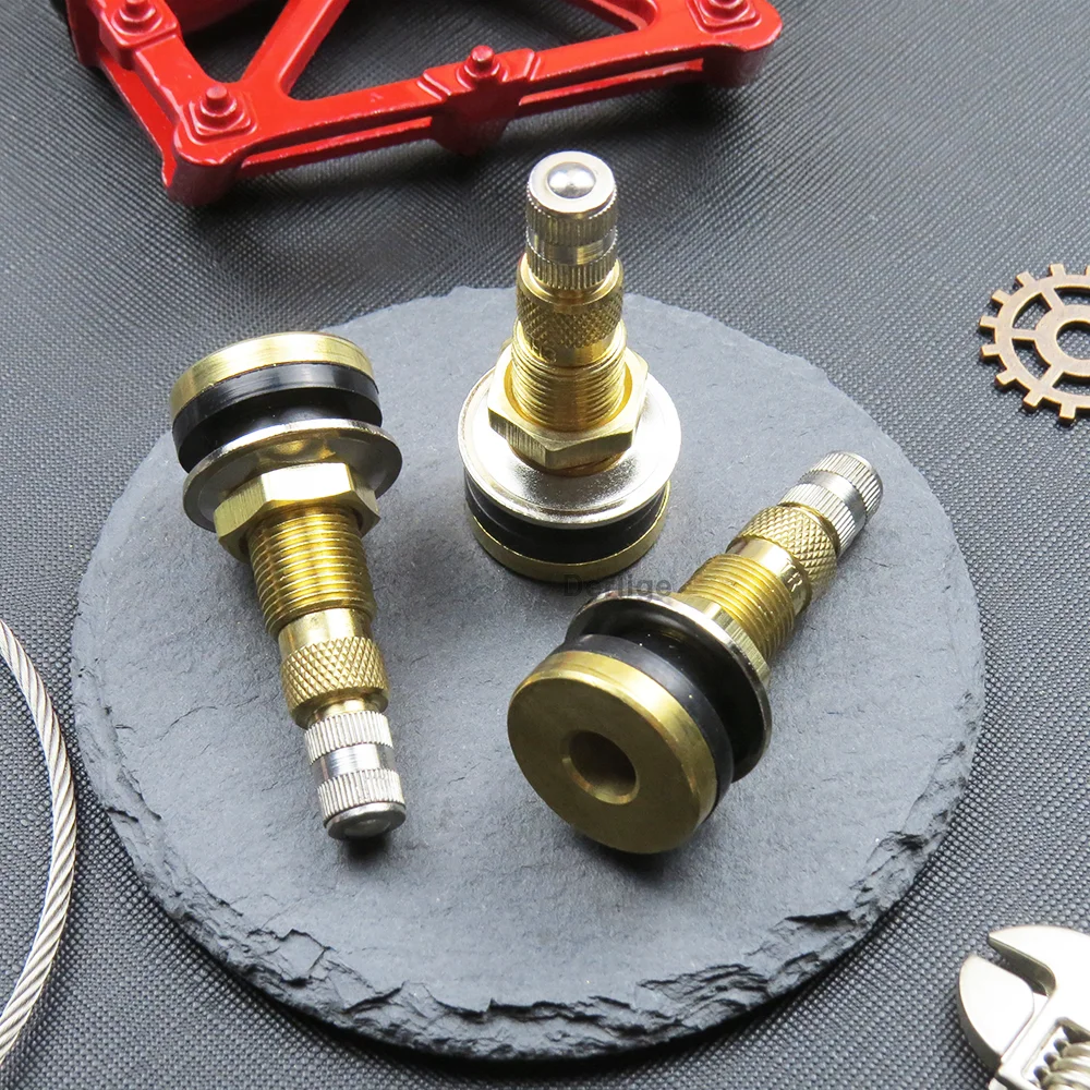 WTB TCS Ottone Presta Valvola per Tubeless (2 Pezzi