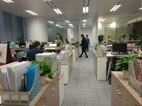 Qingdao Jinshi Supply Chain Co., Ltd. 2