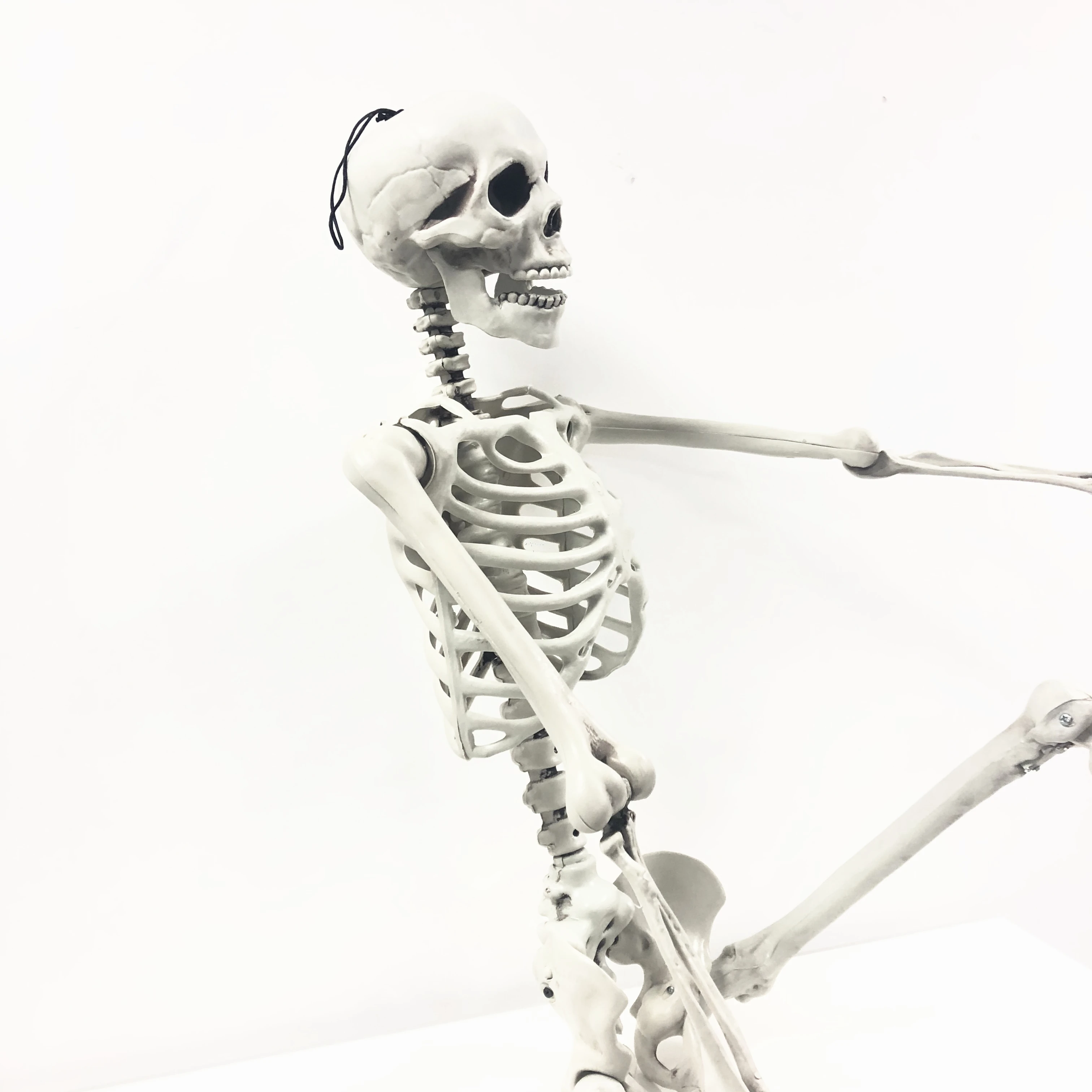 Halloween Skelett Mit Hund 165cm - Lebensgroße Gruseldekoration Für Garten & Party