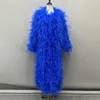 Azul real