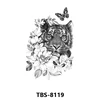 TBS 8119   TBS 8119   TBS 8119