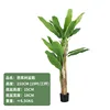 Banana tree, 210cm tall (comes with black base).