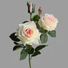 Rose2