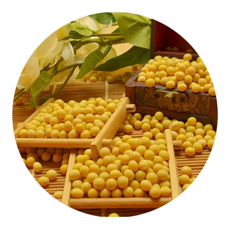 We buy export high quality organic non-gmo yellow soybean with high protein
