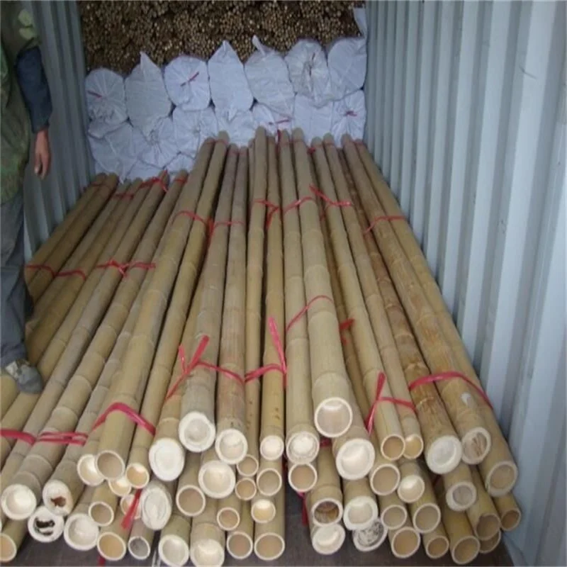 Natural Moso Bamboo Poles For Construction,Moso Bamboo,Big Bamboo Poles ...