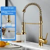 Golden single-function[No underwater hose]