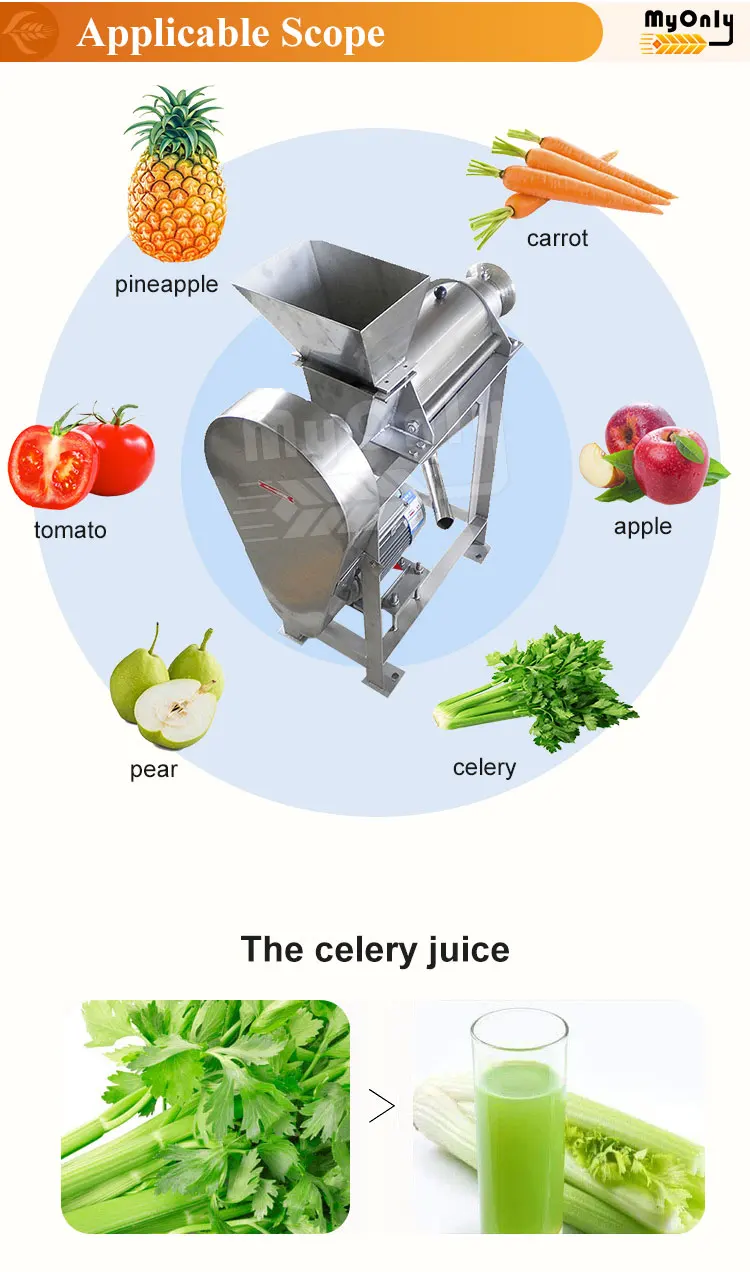 Multi-function machine for cold pressing fruit cold press slow juicer extractor machine for good sale