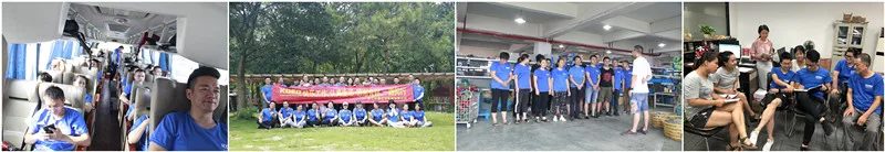 our team