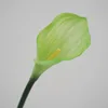 ลิตเติ้ล คาลล่า-กรีน