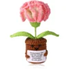 clavel rosado