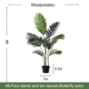 Palmier Areca vert de 4 pieds