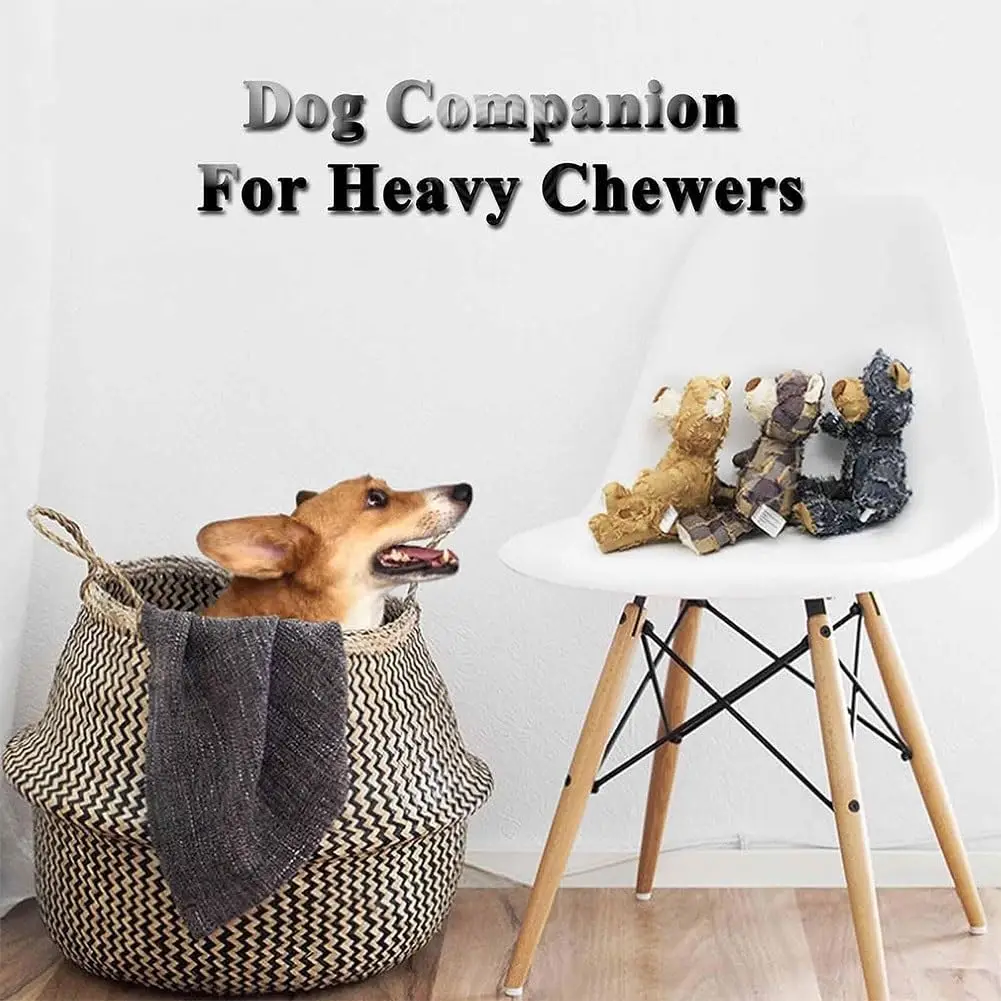 Petdom Extreme Bear Squeaky Training Interactive Play Pet Toy