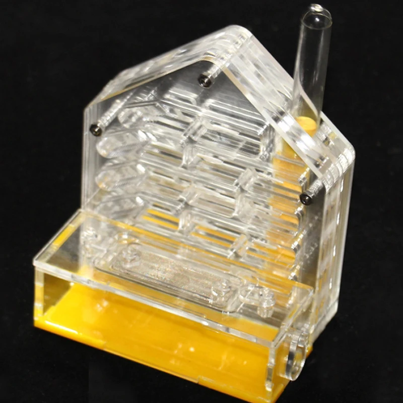Factory Custom Portable square Transparent Magnetic Acrylic Ant Terrarium for Expo