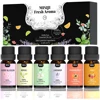 6 x 10ml per box
