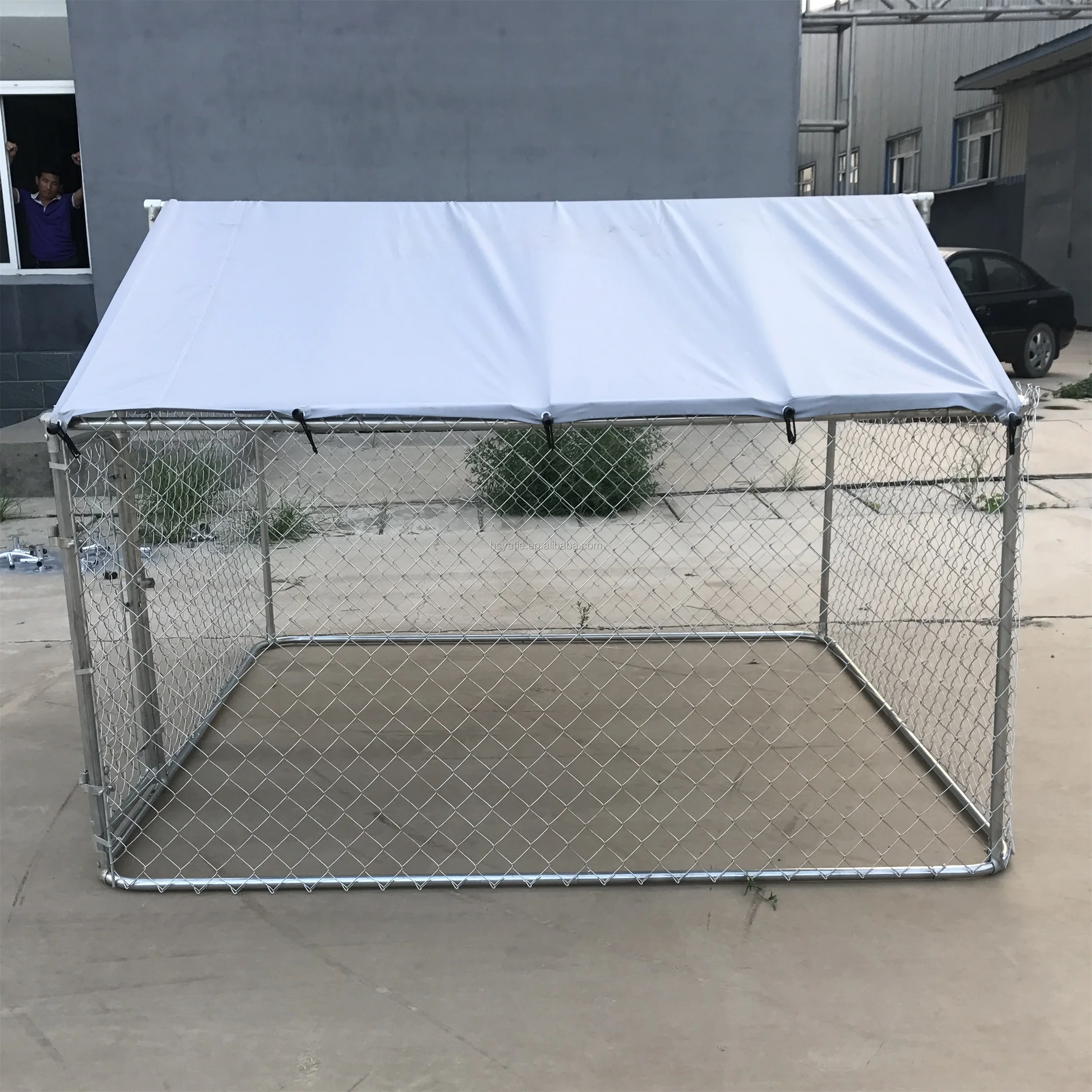 Large Walk In Shade Cage Dog Cages With Roof Cover At Affordable Prices