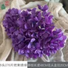 5 heads, 270 petals, hydrangea CB, deep purple