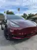 PET Glossy Carbon Red