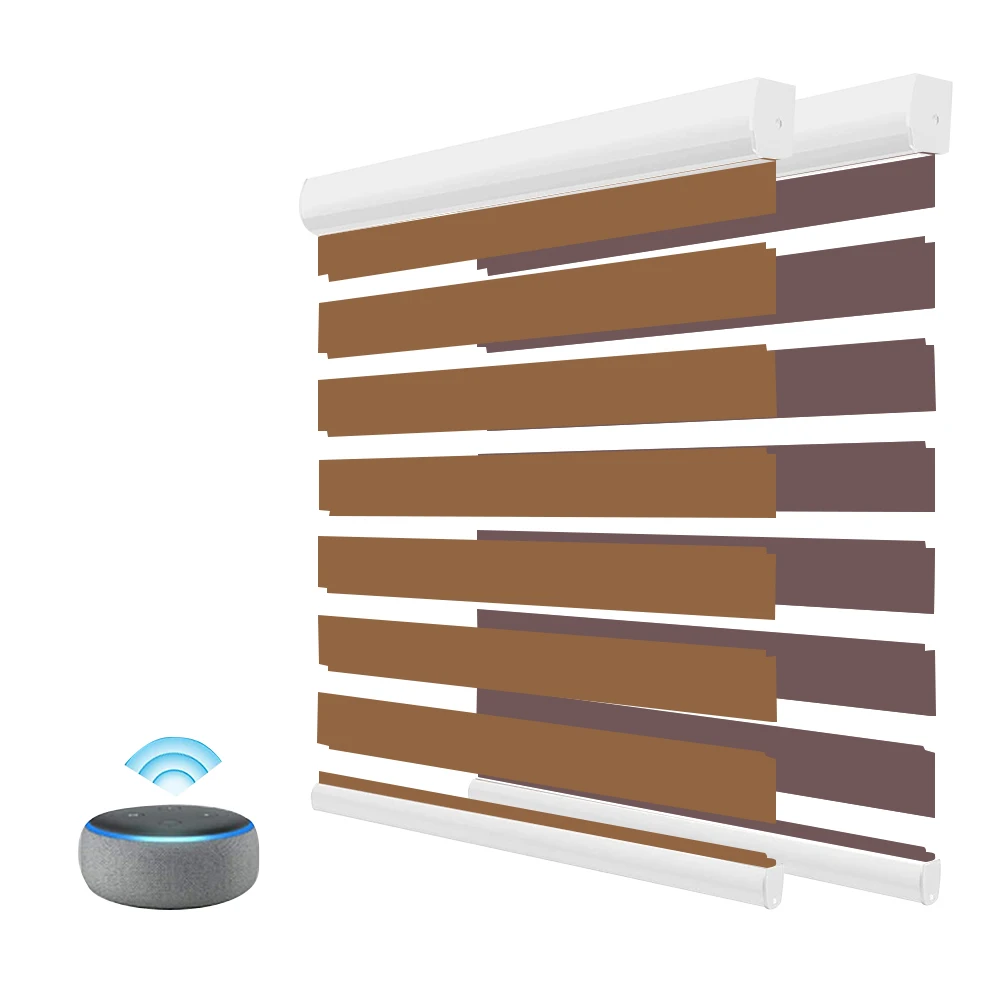 Tuya Zigbee Alexa Voice Remote Control Smart Window Blinds Double Layer Blinds Blackout zebra Roller Blinds for Window
