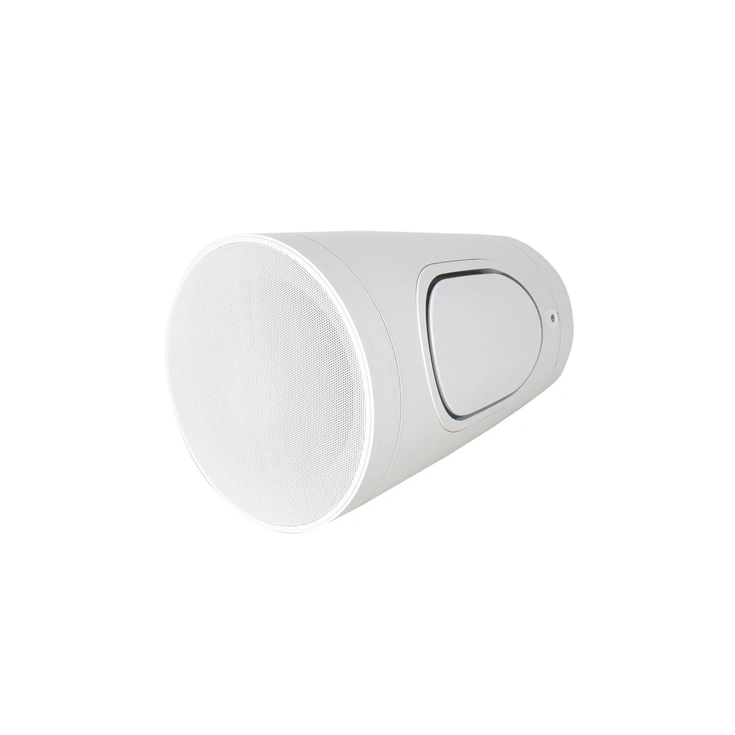 T IP66 Commercial Sound 8 Inch Ceiling Hanging Loudspeaker Wall Mount PA Hi-fi Ceiling Chain Pendant Speaker