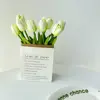 Mini Tulip - Green (Single Stem) (Height 32.5cm)