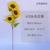 Small three-headed sunflower, shipped separately.