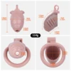 AS-034 skin cage