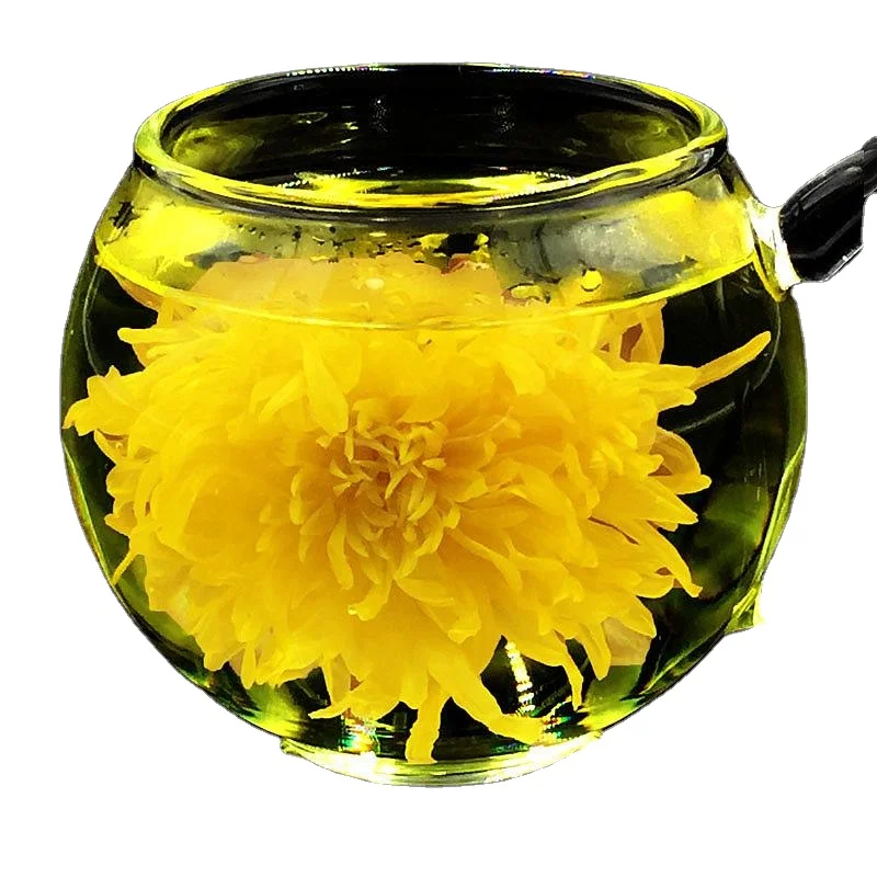 Chrysanthemum Blooming Tea