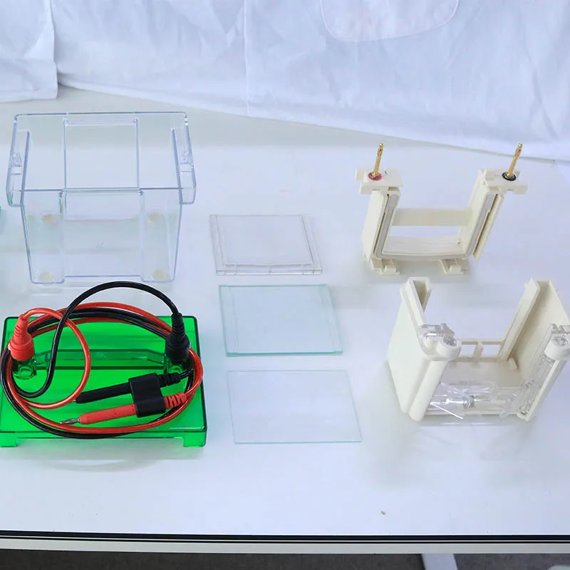 BIOBASE Nucleic Acid and Protein Preparation Use  Gel Tray Vertical Electrophoresis Tank for Lab