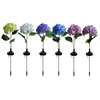 Glowing rod single-head hydrangea