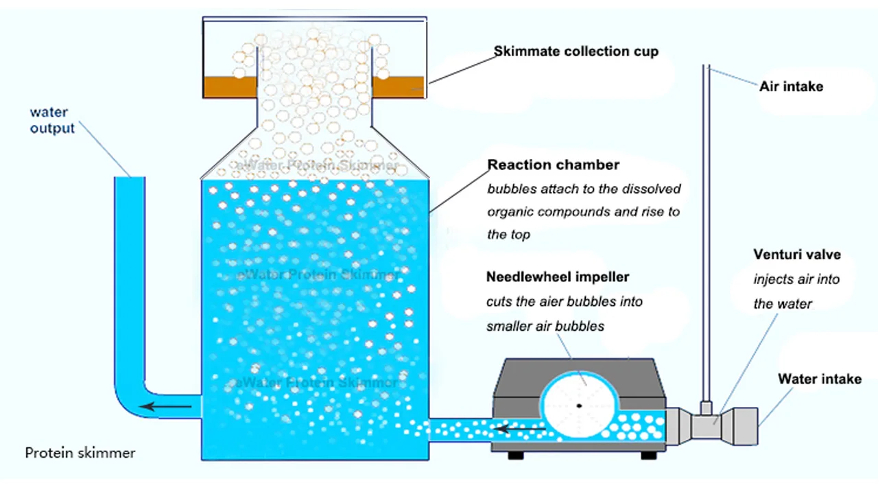 Ocean water treatment equipment protein skimmer