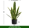 Planta de serpiente Real Touch 65 cm borde amarillo juego completo