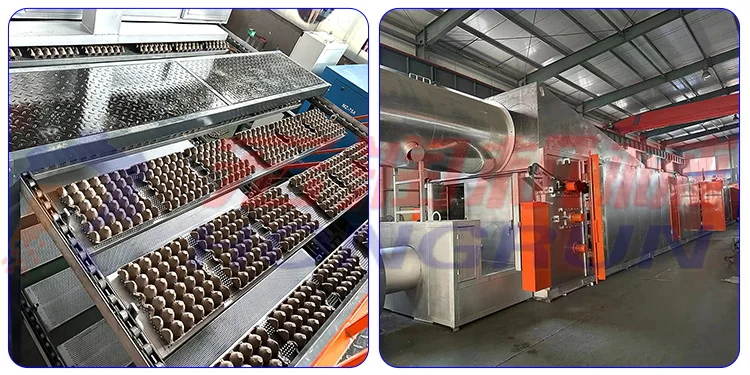 Egg Carton Production Line - Automatic Punnet Tray Machine