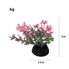 A001 สีสันสดใส