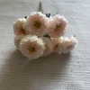 rosa chiaro