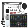 BM800(White Silver)+Ai10 sound card