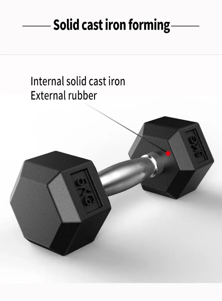 Cast Iron Hex Dumbbells for Home Gym for Body Fitness Exercises ...