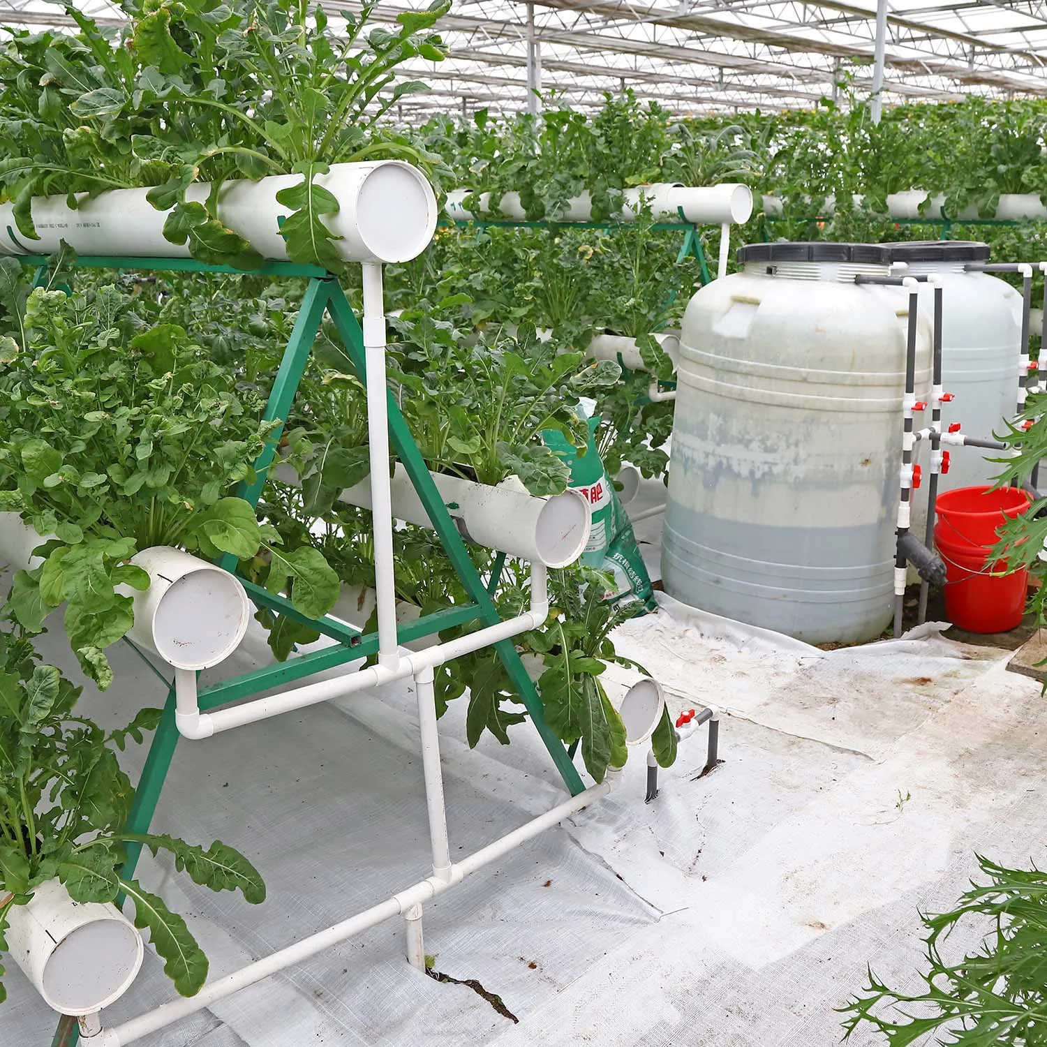 Agricultural Equipment Nft Hydroponic System For Sale Vertical Farm ...