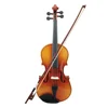 Viola