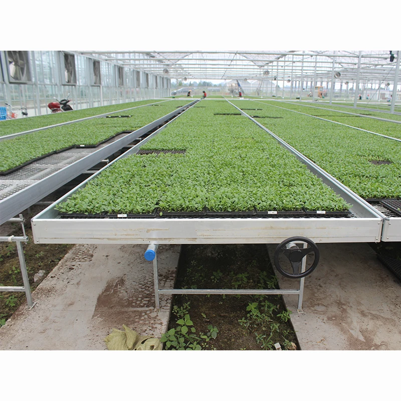 Custom 4x8 Movable Hydroponic Ebb Flow Rolling Bench Grow Rack System Growing Table Seedbed for Various Plant Types for Seeding