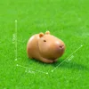 4 stretching capybara