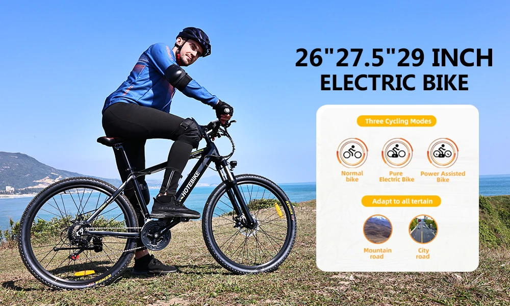 Wholesale Electric Mountain Bike 29 Inch 350w500w750w Adults Electric