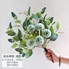 A single hydrangea, green, without a bottle.