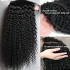 Kinky Curly Wig