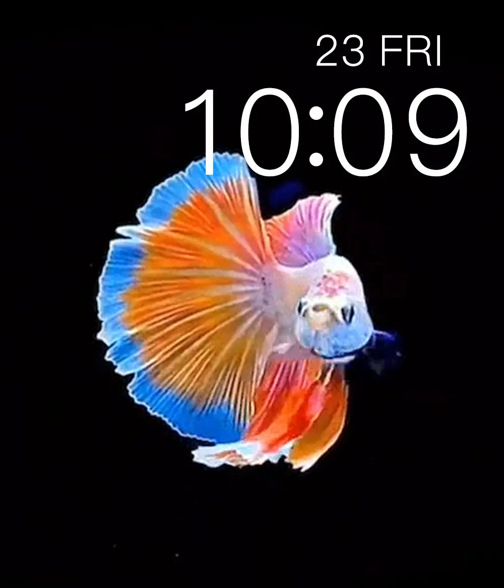 Умные часы T500 +, оригинал, последняя новинка 2021, спортивный браслет pk t500plus t55 w26 + w46 fk88 fk78 fk99 ak75 hw12 hw16 hw22 t800