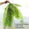 Le foglie della felce Polystichum a 8 foglie
