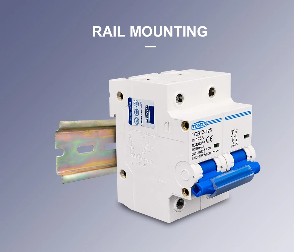 TOMZN 2P DC 1000V MCB 125A 100A 80A Circuit Breaker for PV System C Curve Battery Main Switch