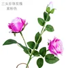 Three-headed pearl rose, purple-pink