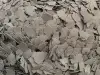 Gris pálido