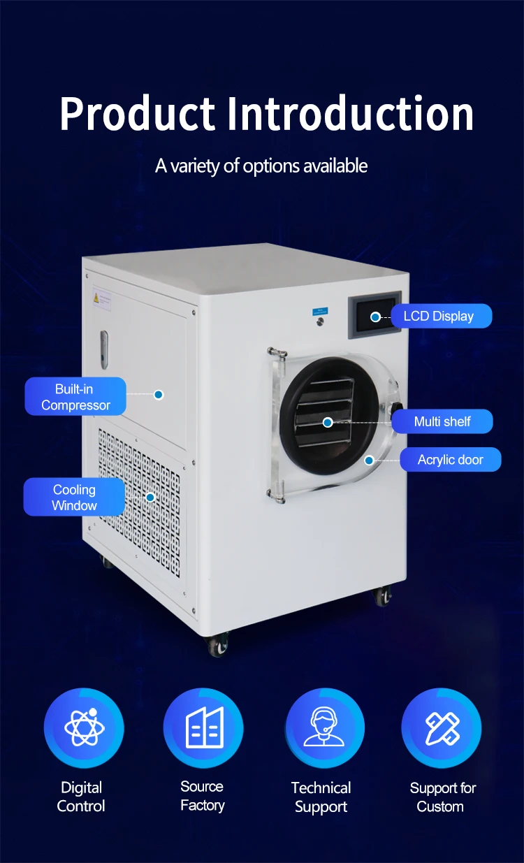 Mini Freeze Drying Machine for Food & Lab Use - 1 Year Warranty